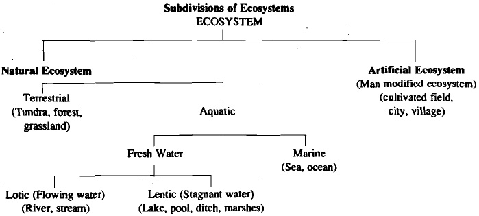 26_types of ecosytem.jpg